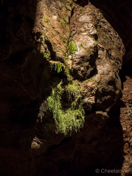P1200887.JPG - Grotten van Han